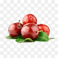 ²úƷʵÎïʳÎïË®¹ûÀî×Ó-¿ÕÈôÍø ²úƷʵÎïʳÎïË®¹ûÀî×Ó-¿ÕÈôÍø