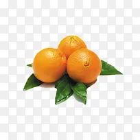 水果食物-空若网 水果食物-空若网