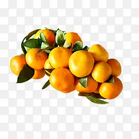 ����ˮ��-������