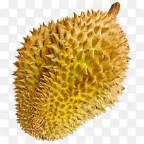 榴莲-空若网 榴莲-空若网