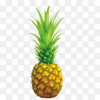 菠萝-空若网 菠萝-空若网