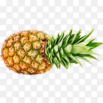 菠萝-空若网 菠萝-空若网