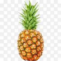 ����-������