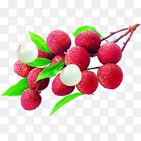 ��֦-������