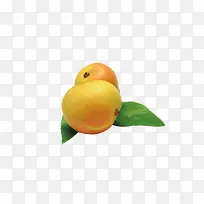 ˮ���߲�-������