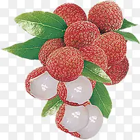 水果-空若网 水果-空若网