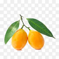 枇杷水果-空若网 枇杷水果-空若网