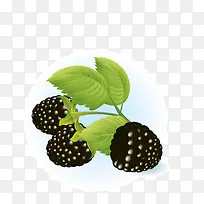 手绘桑葚-空若网 手绘桑葚-空若网