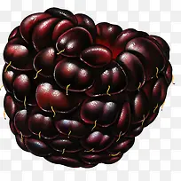 桑葚-空若网 桑葚-空若网