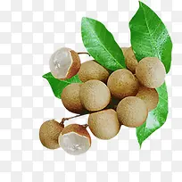 ��Բˮ������ʳ��-������