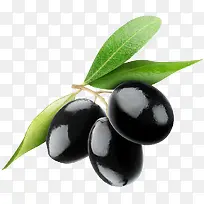 橄榄-空若网 橄榄-空若网