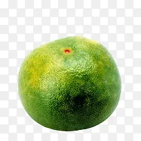 橘子食物-空若网 橘子食物-空若网