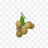 猕猴桃水果-空若网 猕猴桃水果-空若网