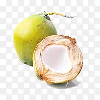 ˮ��Ҭ��-������