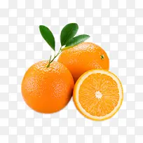 食物-空若网 食物-空若网