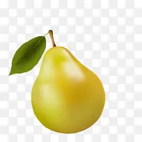 ʳ��-������