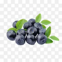 ˮ����ݮ-������