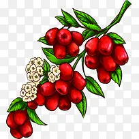 合成手绘立绘水果食物-空若网 合成手绘立绘水果食物-空若网