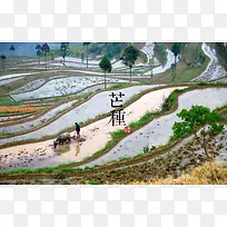 芒种休闲快乐高兴时光-空若网 芒种休闲快乐高兴时光-空若网