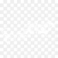 闪光的白色花纹-空若网 闪光的白色花纹-空若网