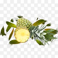 菠萝凤梨水果叶子-空若网 菠萝凤梨水果叶子-空若网