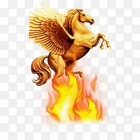 金马-空若网 金马-空若网