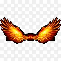 �ſ������-������