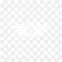 联合国大学计算与社会学会电子邮件信息服务-swosh-空若网 联合国大学计算与社会学会电子邮件信息服务-swosh-空若网