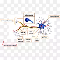 ������ϵͳ��Ԫ��Χ��ϵͳ��Ԫ-������