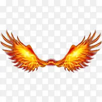 ������ͼƬ�ز�-������