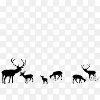 ʥ������¹ʸ��ͼ-������