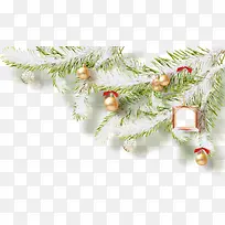 Ê¥µ®½Ú×°ÊÎÆ·-¿ÕÈôÍø Ê¥µ®½Ú×°ÊÎÆ·-¿ÕÈôÍø