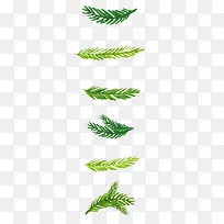 Ê¥µ®½ÚË®²ÊÖ²Îï×°ÊÎ-¿ÕÈôÍø Ê¥µ®½ÚË®²ÊÖ²Îï×°ÊÎ-¿ÕÈôÍø