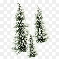 ������Ӱ��ɫ��ʥ����-������