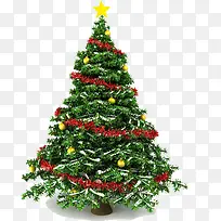 ��ɫ����ʥ��������-������