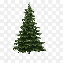 圣诞的树-空若网 圣诞的树-空若网