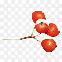 冬季树枝-空若网 冬季树枝-空若网