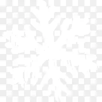 ��ɫѩ��-������