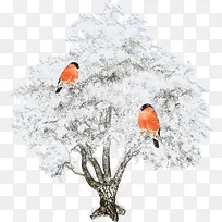 白色大树-空若网 白色大树-空若网