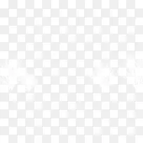 ��ɫѩ��֦-������