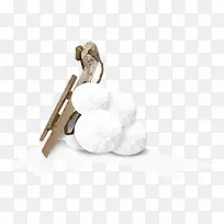 白色雪球-空若网 白色雪球-空若网