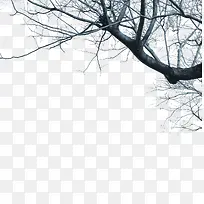 �������֦-������