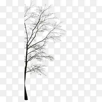 树-空若网 树-空若网