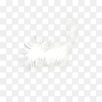 ��ɫ��ë-������