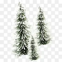 雪后的树木-空若网 雪后的树木-空若网