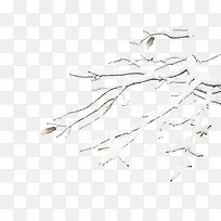 雪树-空若网 雪树-空若网