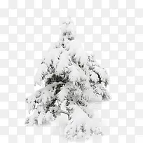 ��-������