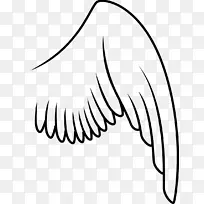 鸟画夹艺术-翅膀-空若网 鸟画夹艺术-翅膀-空若网