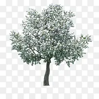 ���崴ҵ��Ӱ�������ľ-������