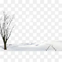 冬天雪地雪树-空若网 冬天雪地雪树-空若网